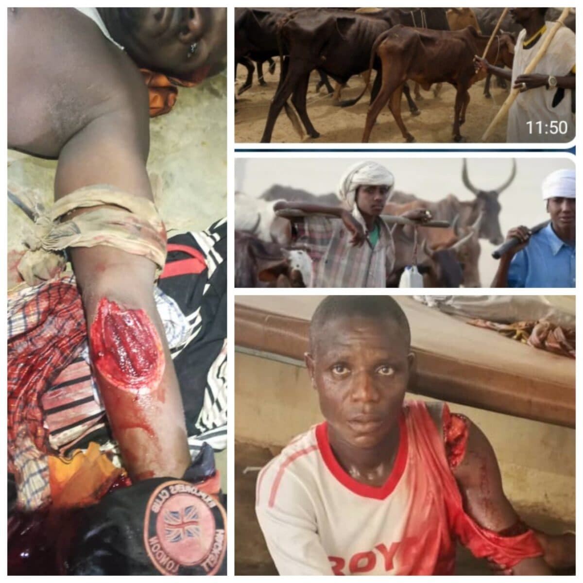 Baji Community Raises Alarm Over Alleged Attacks, Destruction of Farmlands in Gurara