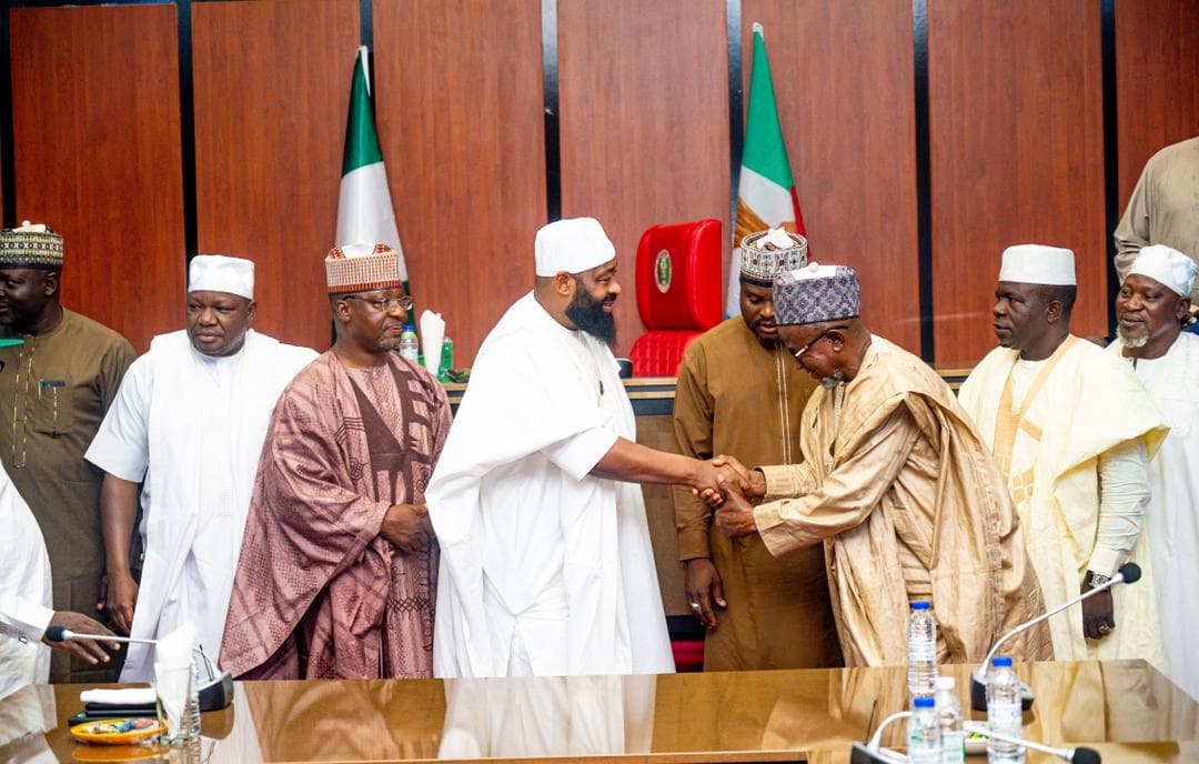Niger Inaugurates Committee for 100MW Solar Power Project